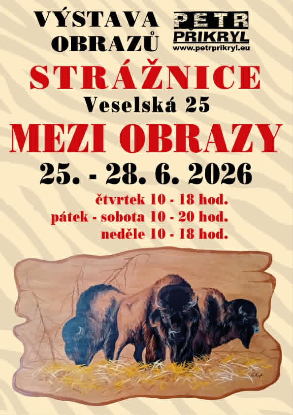 Výstava obrazů